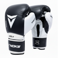 Боксерские перчатки V`Noks Aria White 10 ун.