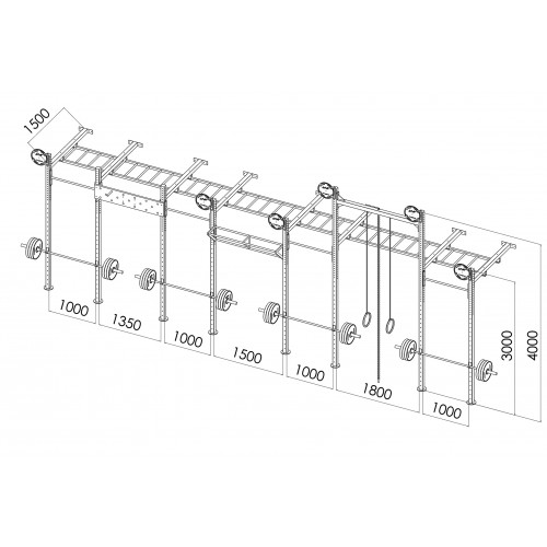 Кроссфит станция V`Noks EXO 8-4 W 